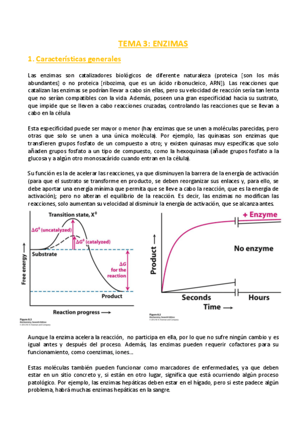 Miniatura del documento TEMA-3-Bioquimica.pdf