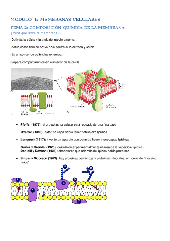 Miniatura del documento modulo-1.docx