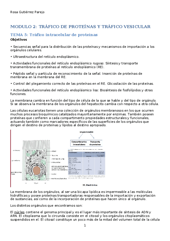 Miniatura del documento MODULO-2.docx