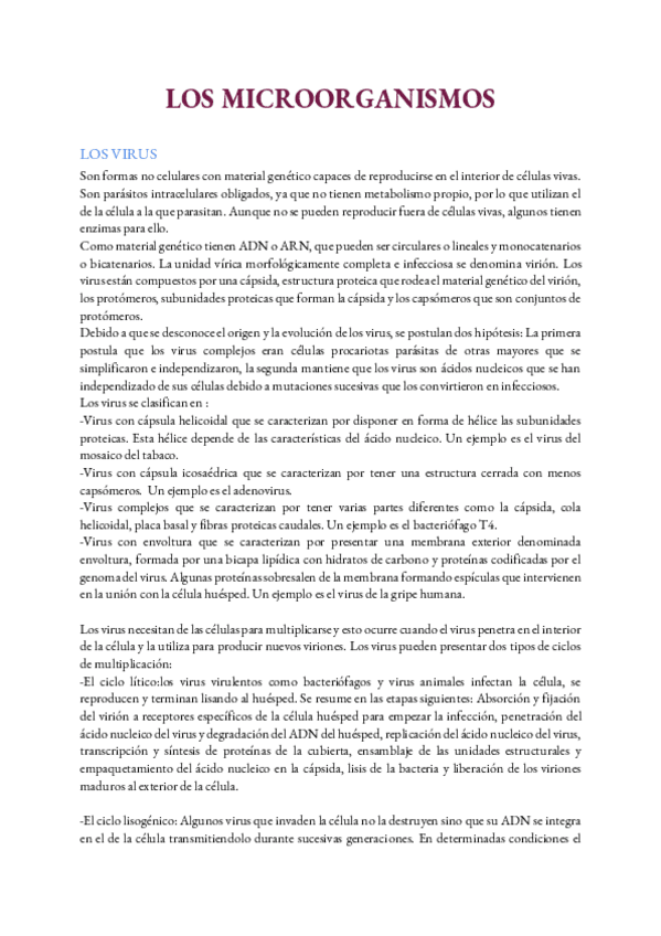 Miniatura del documento LOS-MICROORGANISMOS.pdf