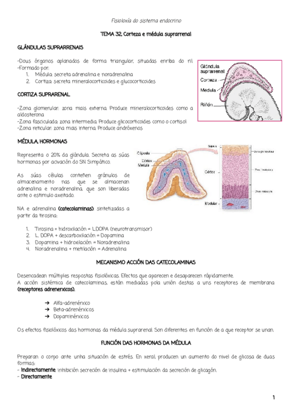 Miniatura del documento TEMA32.pdf