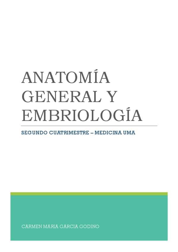 Miniatura del documento listo.pdf