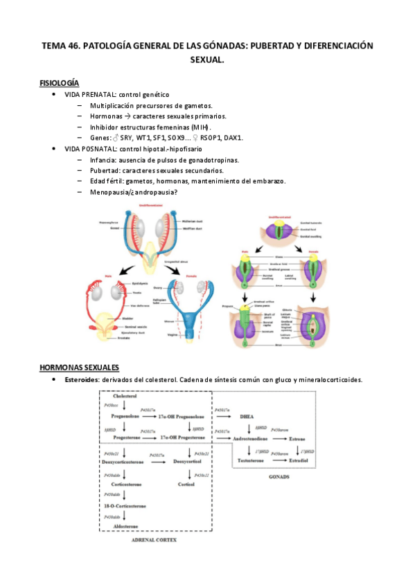 Miniatura del documento Tema 46.pdf