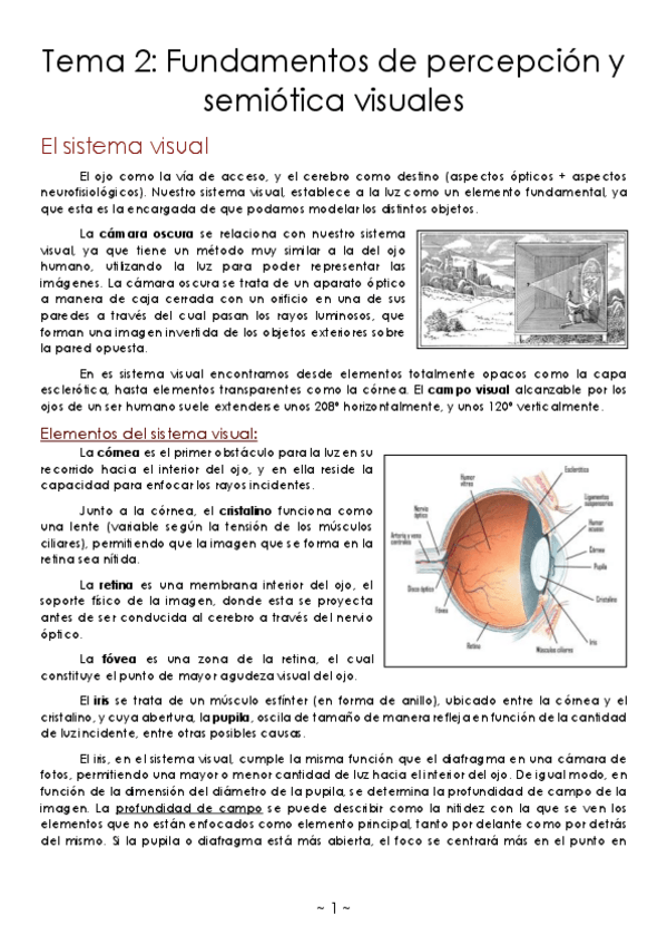 Miniatura del documento Tema-2-Fundamentos-de-percepcion-y-semiotica-visuales.pdf