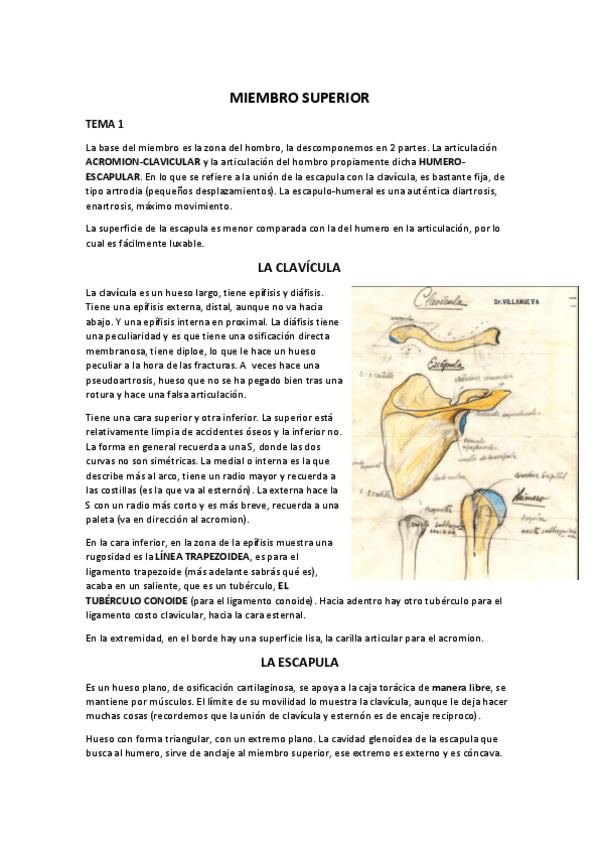Miniatura del documento MIEMBRO-SUPERIOR.pdf
