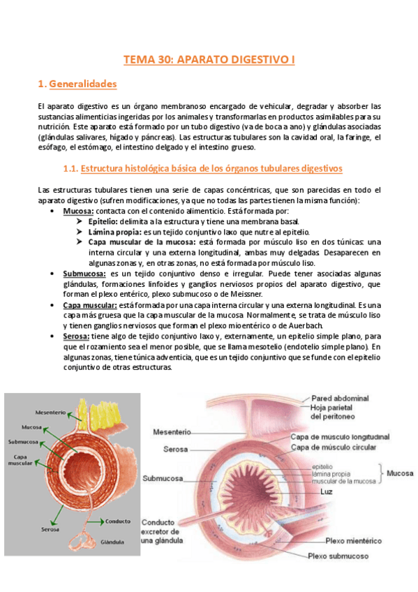 Miniatura del documento Tema-30-Histologia.pdf