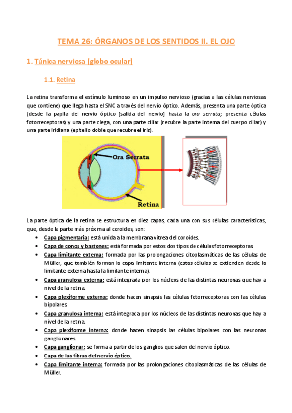 Miniatura del documento TEMA-26-Histologia.pdf