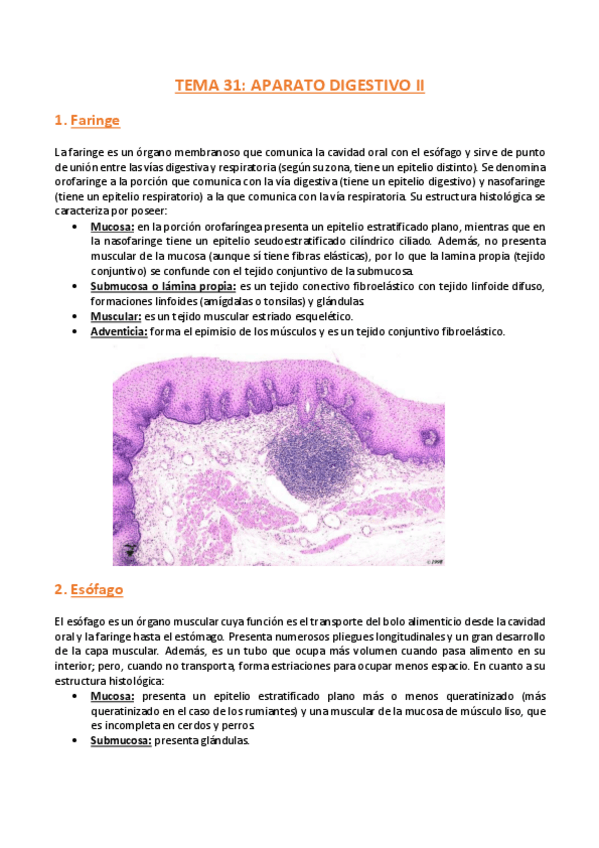 Miniatura del documento TEMA-31-Histologia.pdf