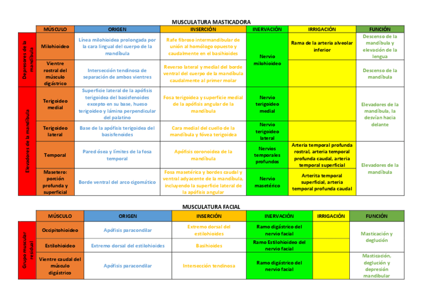 Miniatura del documento TABLAS-POR-MUSCULOS.pdf
