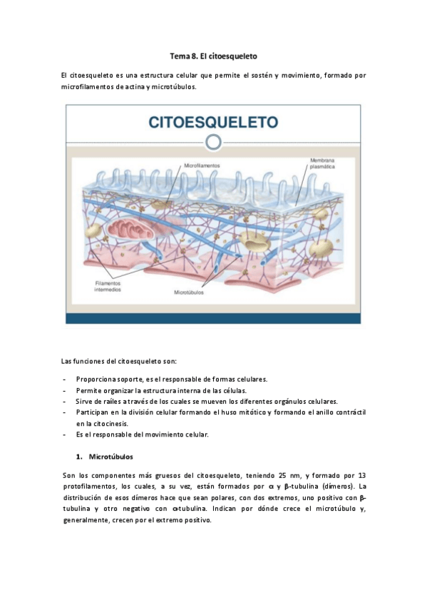 Miniatura del documento Tema-8.pdf