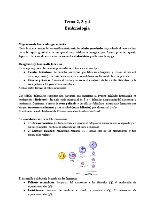Miniatura del documento Tema-2-Embriologia-.pdf