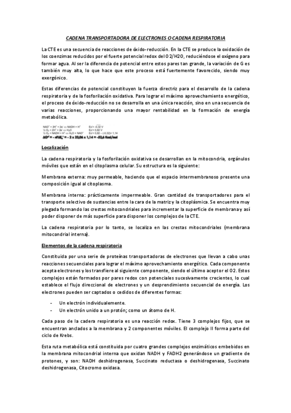Miniatura del documento CADENA-TRANSPORTADORA-DE-ELECTRONES-O-CADENA-RESPIRATORIA.pdf