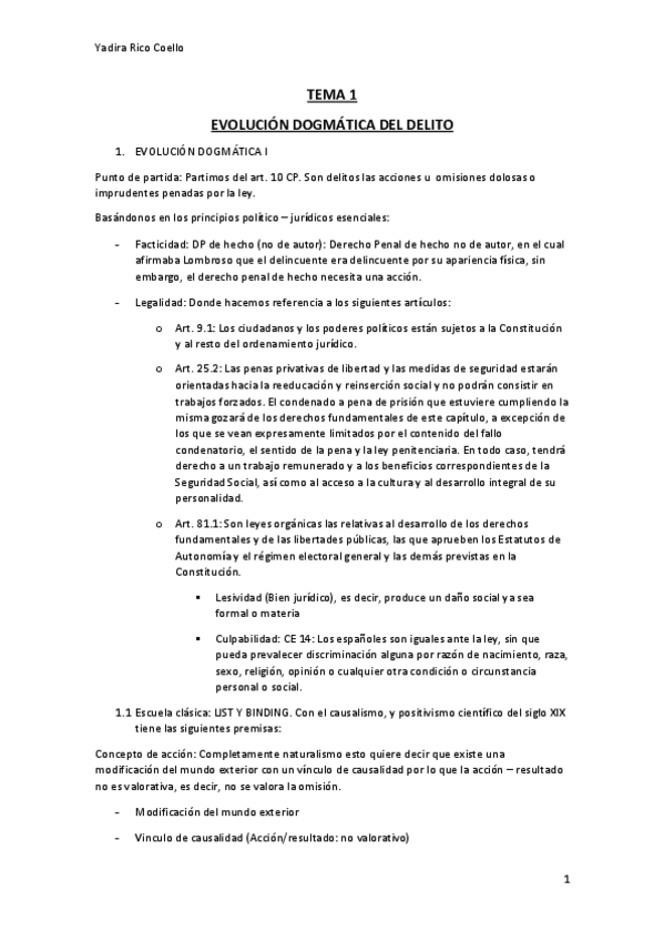 Miniatura del documento TEMA-PENAL-1.pdf