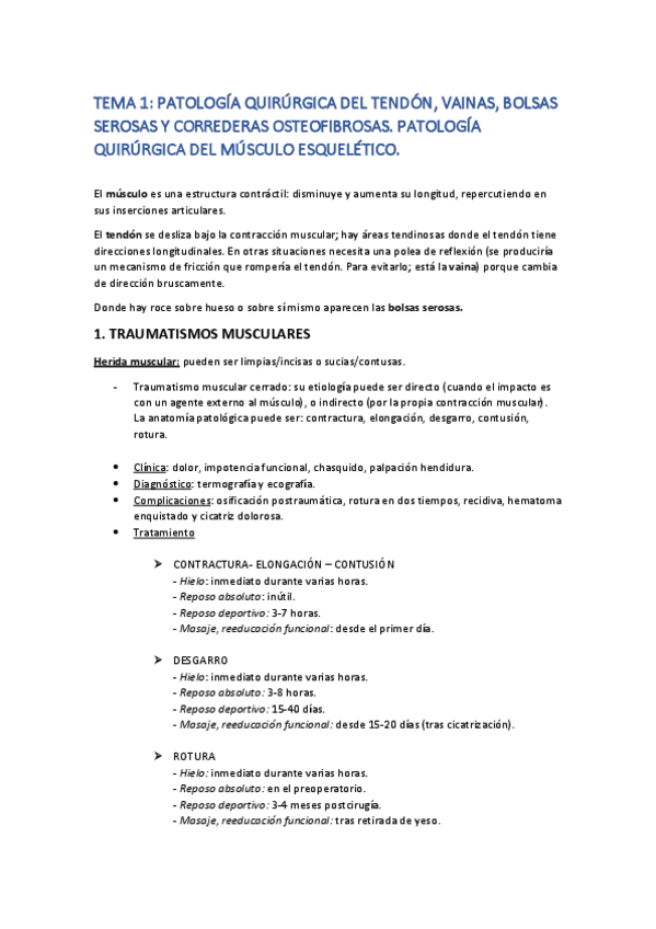 Miniatura del documento TEMA-1-convertido.pdf