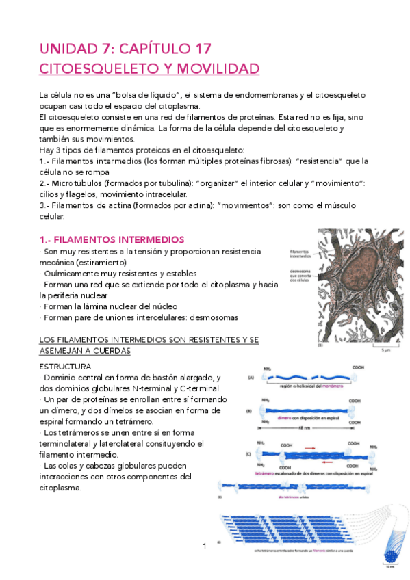 Miniatura del documento PDF-UD-7.pdf