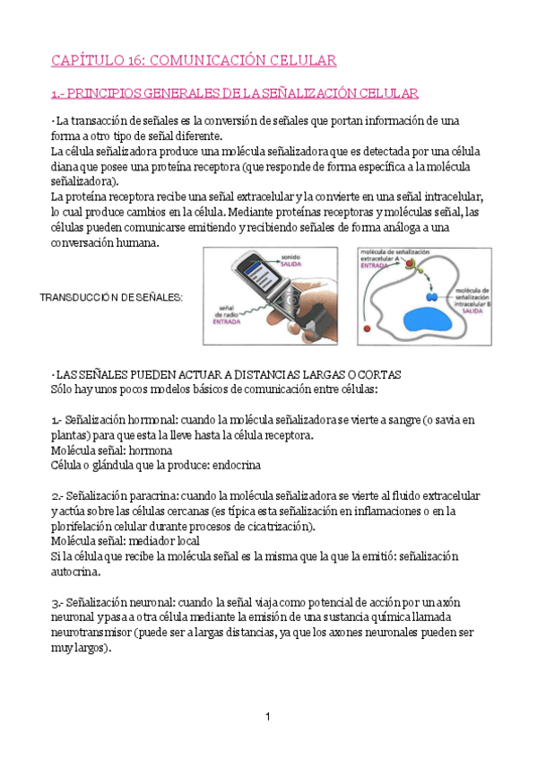 Miniatura del documento UD-6-BIOCEL.pdf