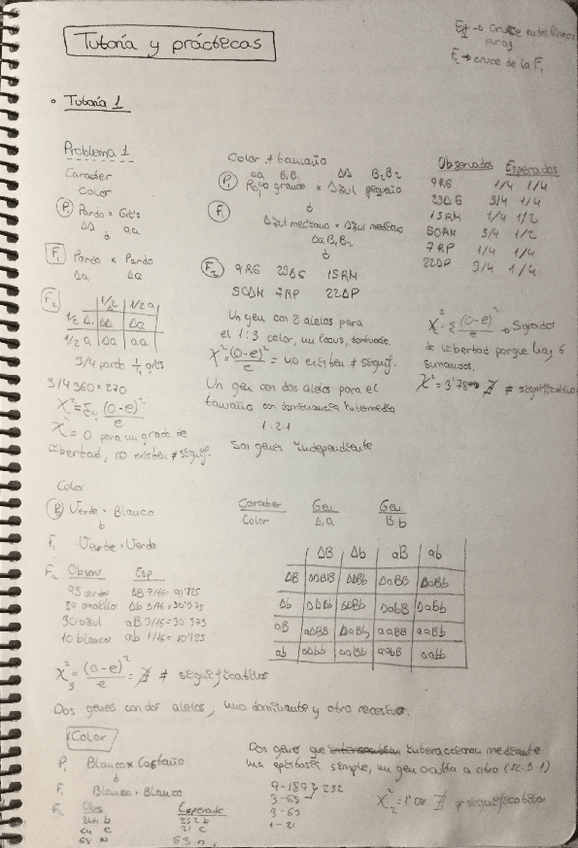 Miniatura del documento Tutorias-y-problemas.pdf