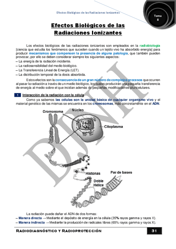 Miniatura del documento 8.pdf