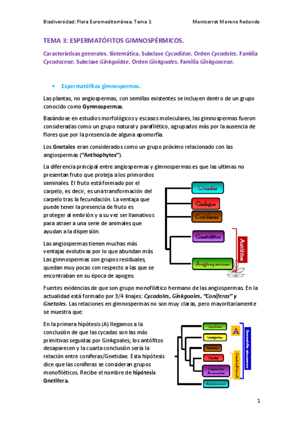 Miniatura del documento TEMA-3-FLORA.pdf