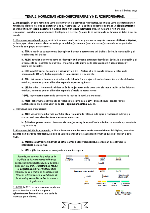 Miniatura del documento TEMA-2.pdf