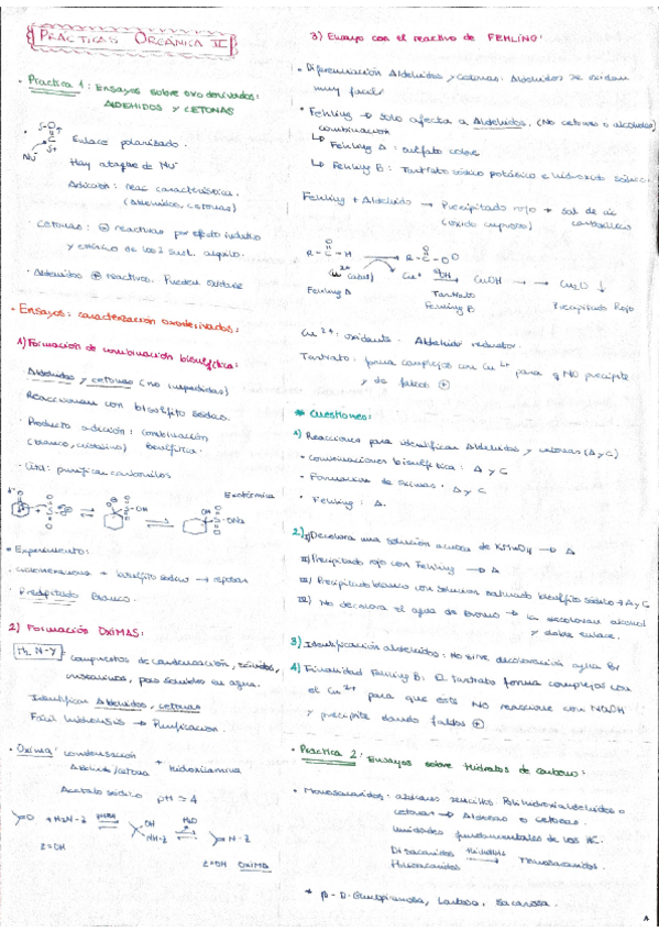 Miniatura del documento Resumen Prácticas Orgánica.pdf