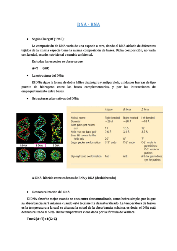 Miniatura del documento Apuntes-Bioquimica-2o-Parcial-Parte-1.pdf