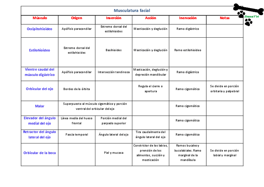 Miniatura del documento Musculatura facial.pdf