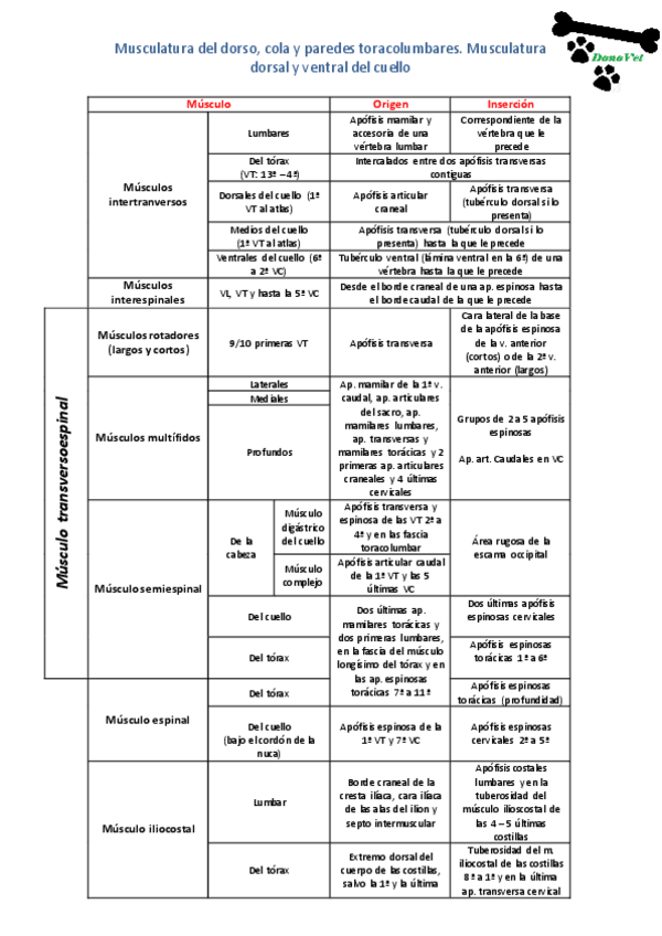 Miniatura del documento Tema 10 y 11.pdf