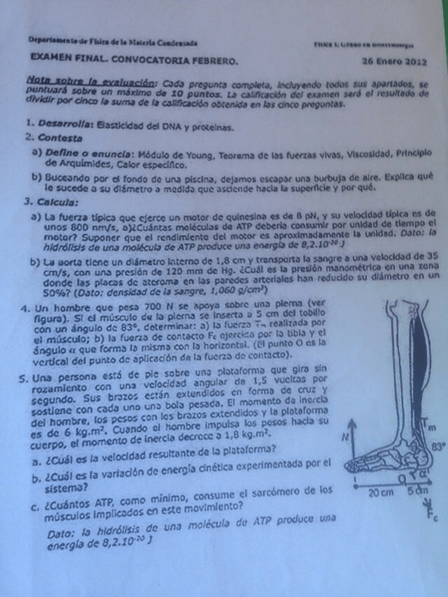 Miniatura del documento IMG-20150204-WA0005.jpg