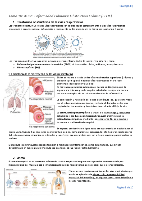 Miniatura del documento Tema-10.pdf