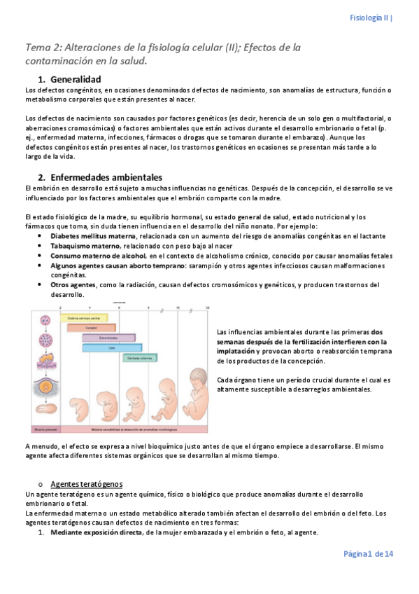 Miniatura del documento Tema-2.pdf