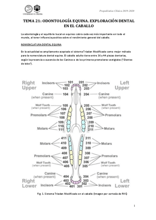 Miniatura del documento Tema-21-prope.pdf