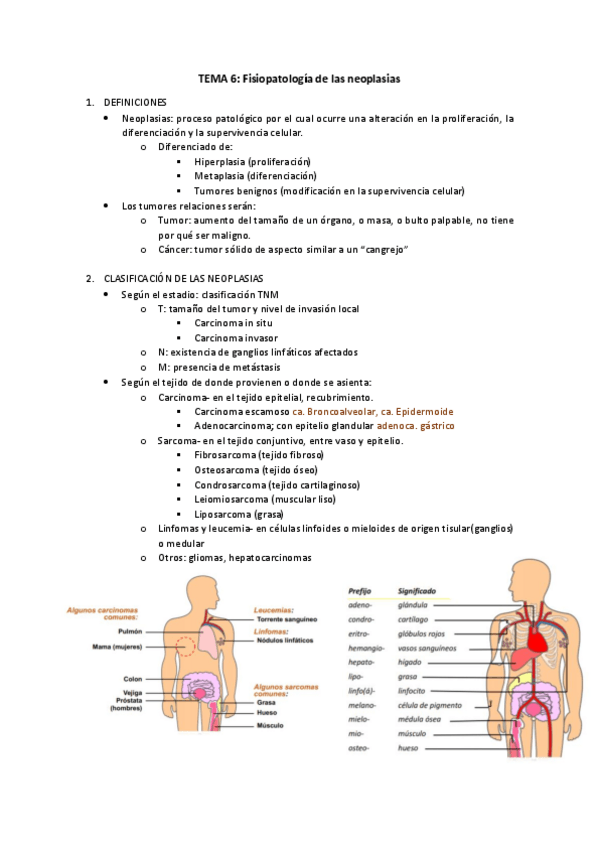 Miniatura del documento TEMA-6-fisiopatologia-del-cancer.pdf