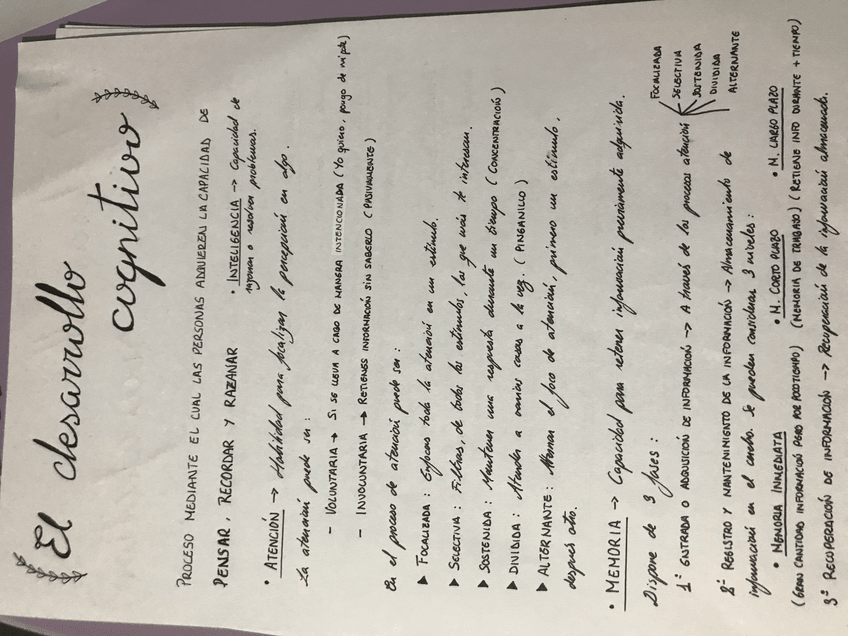 Miniatura del documento image.jpg