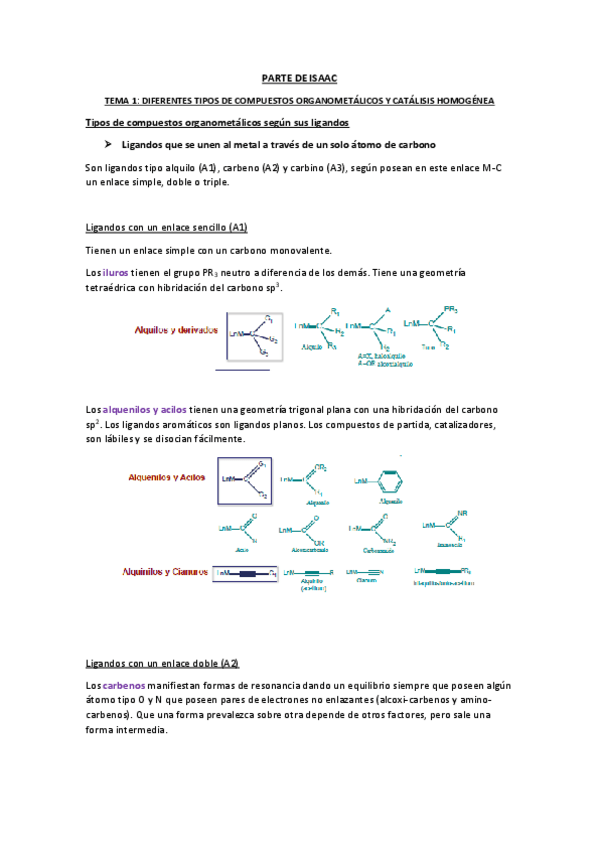 Miniatura del documento RESUMEN-ISAAC.pdf