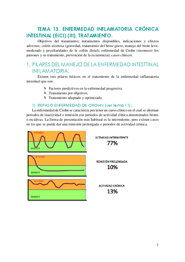 Miniatura del documento TEMA-13 TRATAMIENTO EICI