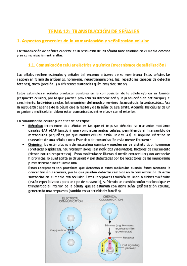 Miniatura del documento TEMA-12-Bioquimica.pdf