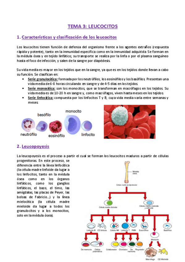 Miniatura del documento TEMA-3-Fisiologia.pdf