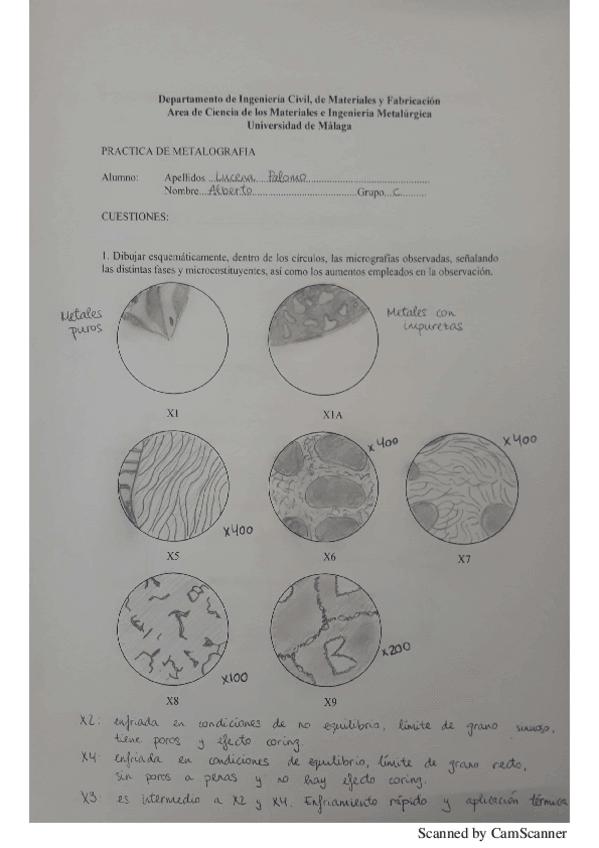 Miniatura del documento Practica-1-Metalografia.pdf