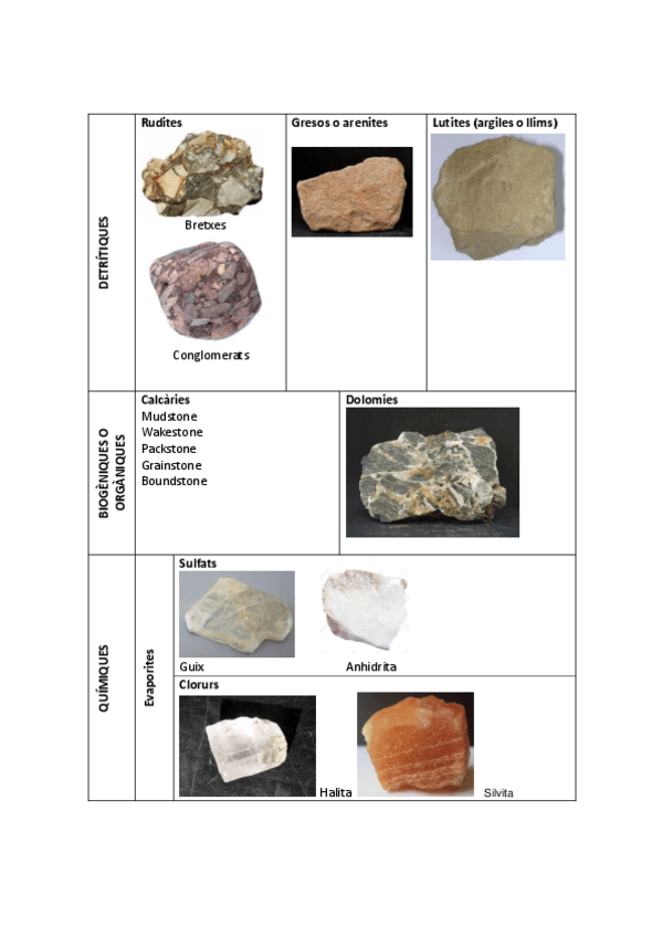 Miniatura del documento sedimentaries.pdf