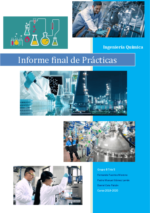 Miniatura del documento INFORME-FINAL.pdf