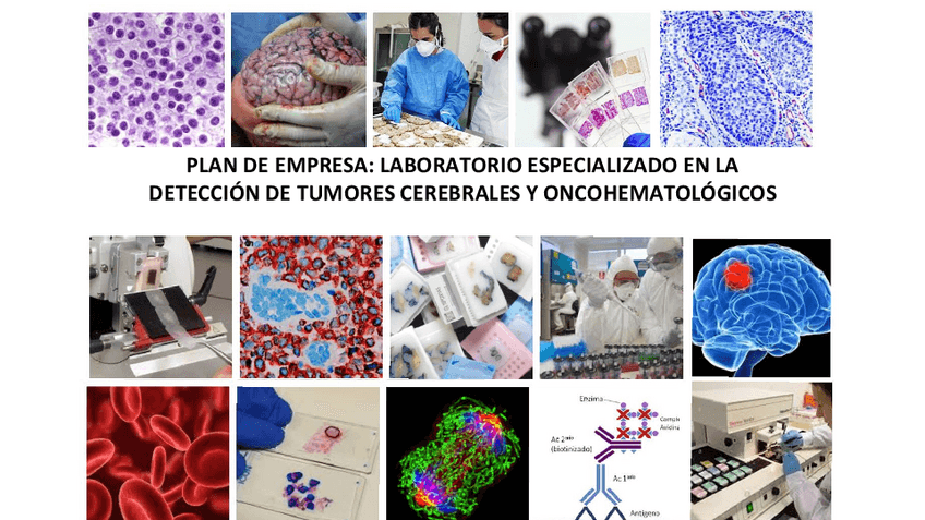 Miniatura del documento Presentacion-PLAN-DE-EMPRESA-LABORATORIO-ESPECIALIZADO-EN-LA-DETECCION-DE-TUMORES-CEREBRALES-Y-ONCOHEMATOLOGICOS.pdf