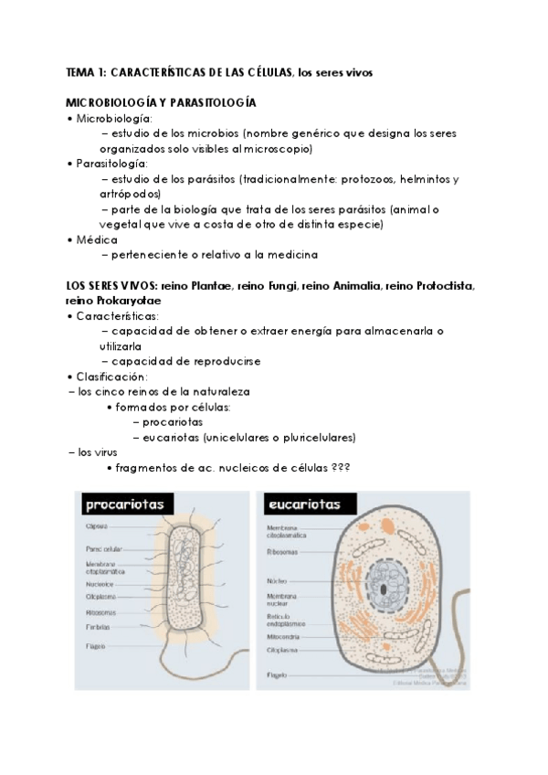 Miniatura del documento MICROBIOLOGIA-.pdf