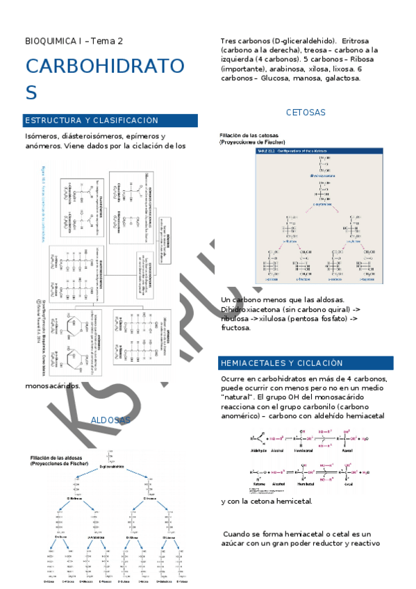 Miniatura del documento BIOQUIMICA-I-TEMA-2.docx