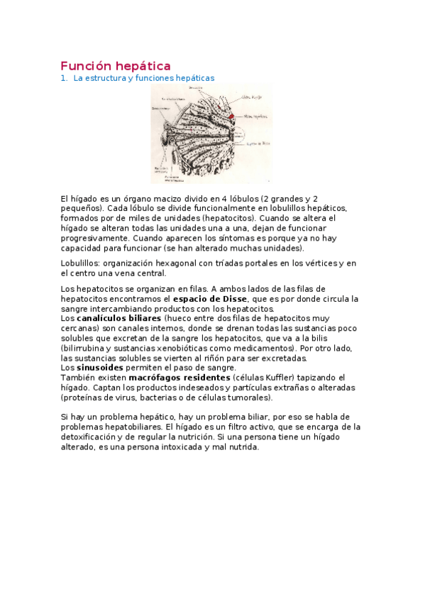 Miniatura del documento 5.docx