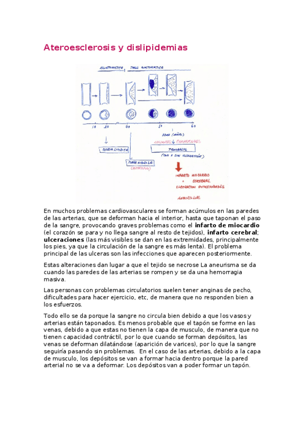 Miniatura del documento 4.docx