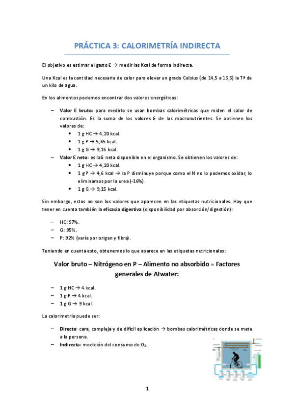 Miniatura del documento PRACTICA-3-CALORIMETRIA-INDIRECTA.pdf