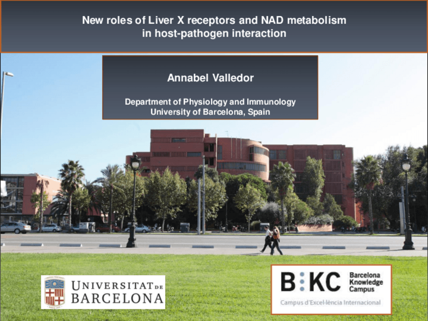 Miniatura del documento Seminari-LXR-2017.pdf