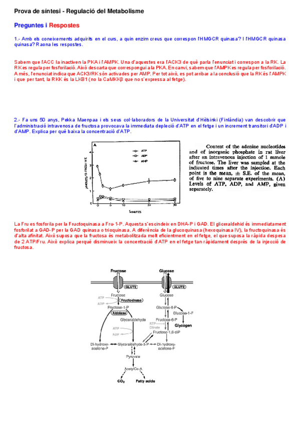 Miniatura del documento 2015-prova-de-sintesi-RESPOSTES.pdf