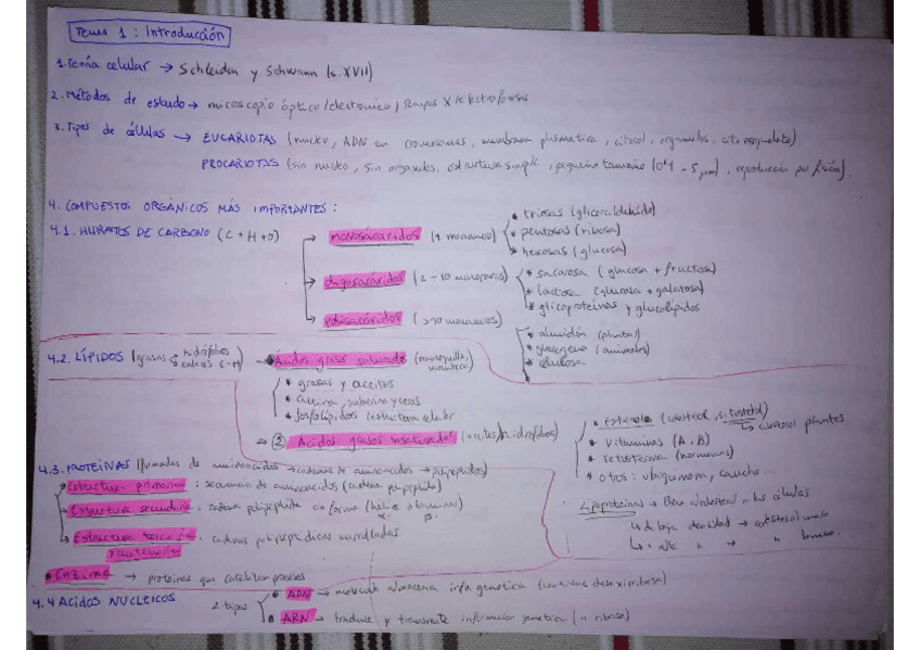 Miniatura del documento TEMAS-1-9-RESUMENES.pdf